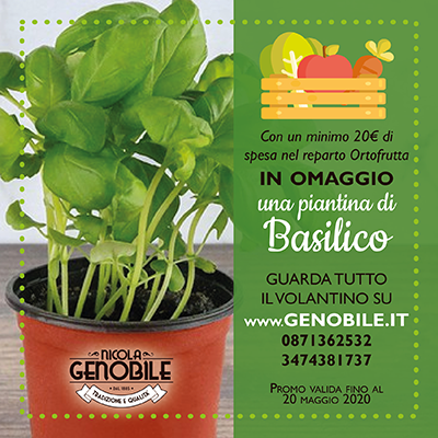 Promo basilico Genobile Promo basilico Genobile
